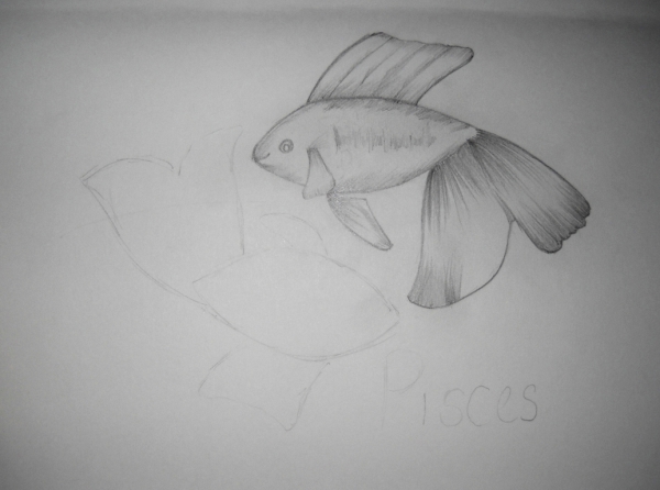 Creation of Pisces: Step 2